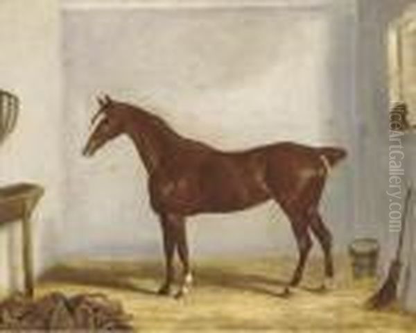 A Chestnut Hunter In A Stable Oil Painting by William Webb