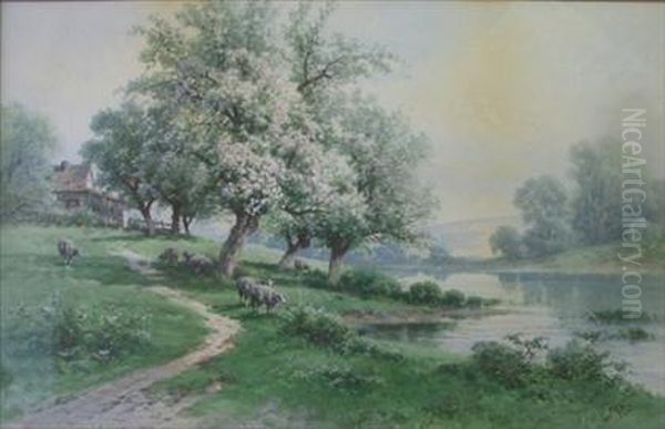 Sheep Grazing Under A Cherry Blossom Tree Oil Painting by Carl Weber