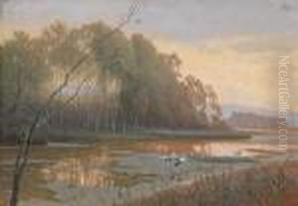 Storche In Aulandschaft Oil Painting by Rudolf Weber