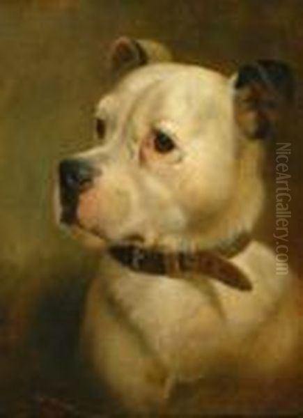 Portrait Of An English Mastiff. Signed And Dated Lower Left: W. Weekes 1860 Oil Painting by Herbert William Weekes