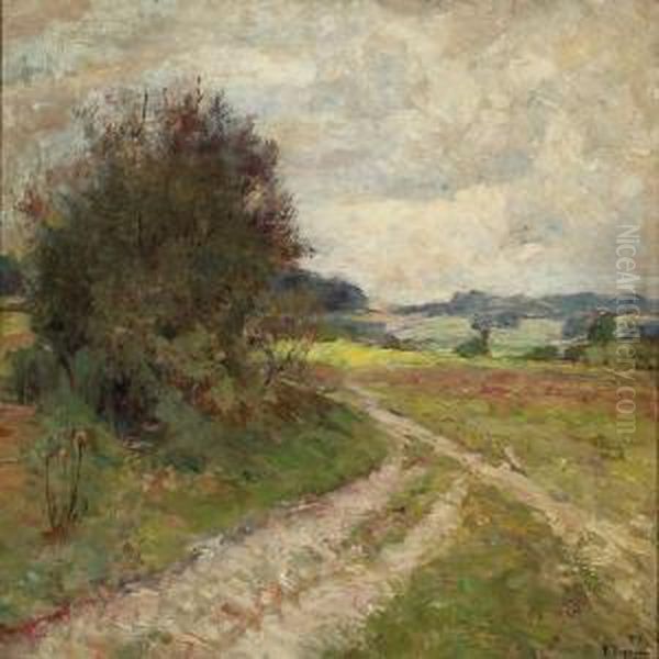 Landevej Ved Binz, Rygen Oil Painting by Bertha Wegmann