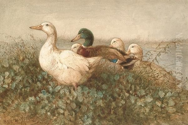 Ducks Near A Pond Oil Painting by Harrison William Weir