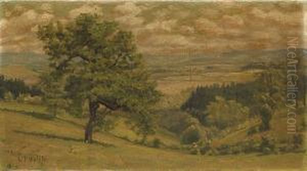 The Welch Ranch In The Marin Hills Oil Painting by Ludmilla P. Welch