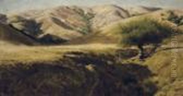 Willow Tree And Hills, Marin County Oil Painting by Thaddeus Welch