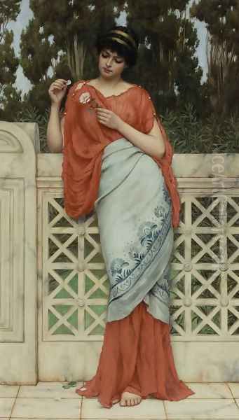 He Loves Me, He Loves Me Not Oil Painting by John William Godward