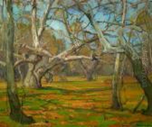 Oaks And Sycamores Oil Painting by William Wendt