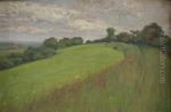 View Of California Hilltop Oil Painting by William Wendt