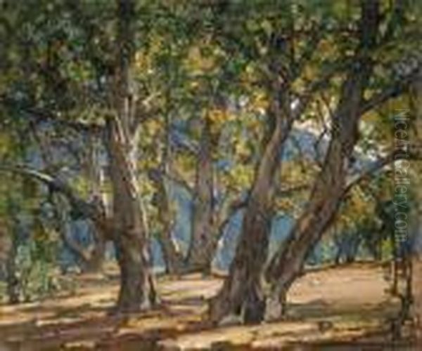 A Sycamore Grove - Laguna Oil Painting by William Wendt