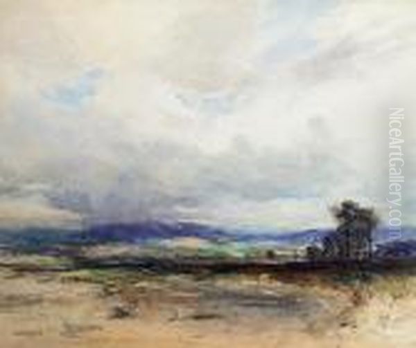 Moor Near Lossiemouth Oil Painting by David West