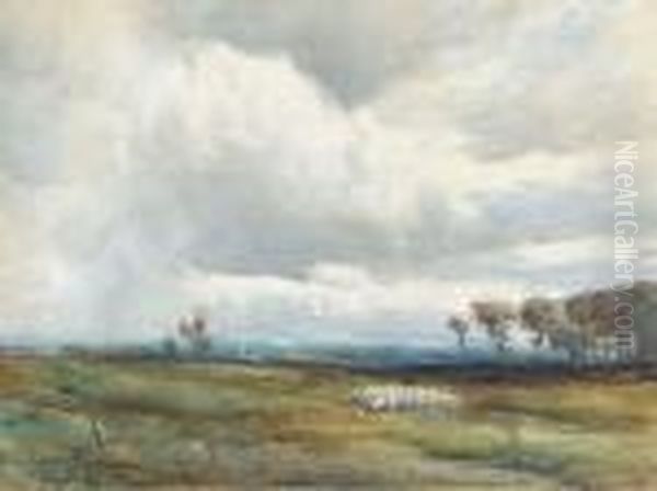 A Shepherd Tending His Flock Before An Approaching Storm Oil Painting by David West