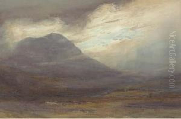 View Of The Mountains Between Garve And Acnasheen Oil Painting by David West