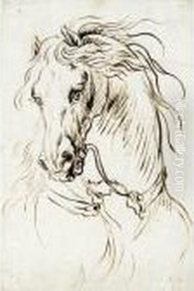 Study Of A Cavalry Horse Oil Painting by Raphael Lamarr West