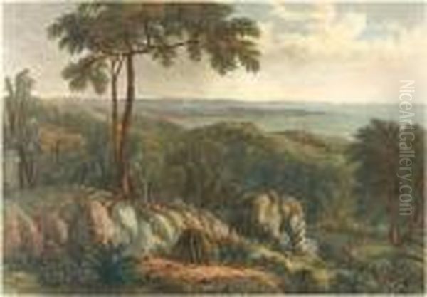 Views Of Australian Scenery Oil Painting by William Westall