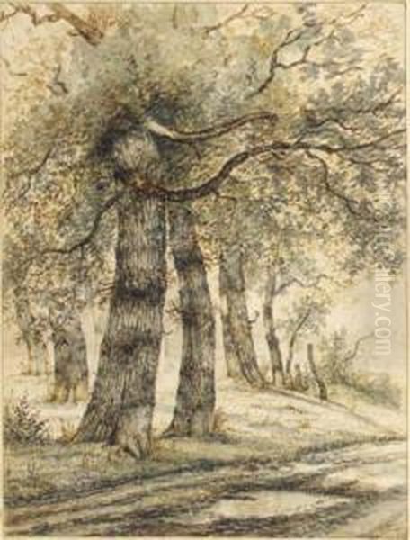 Trees Along A Road Oil Painting by George Pieter Westenberg