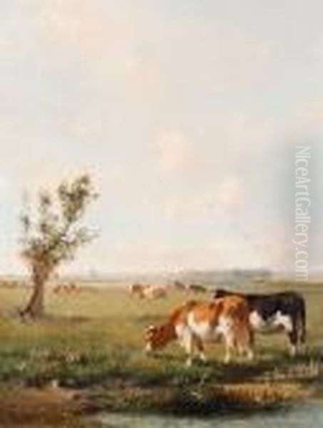 Cows Grazing In A Summer Meadow Oil Painting by Cornelis I Westerbeek