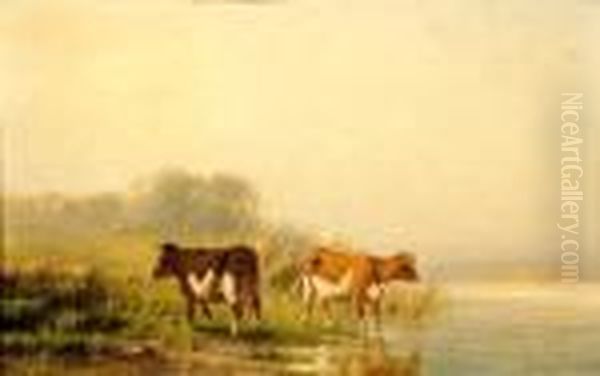 Two Cows Near The Water Oil Painting by Cornelis I Westerbeek