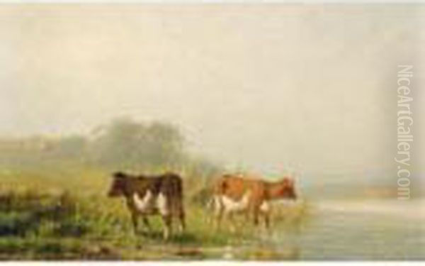 Cows Near The Waterside Oil Painting by Cornelis I Westerbeek