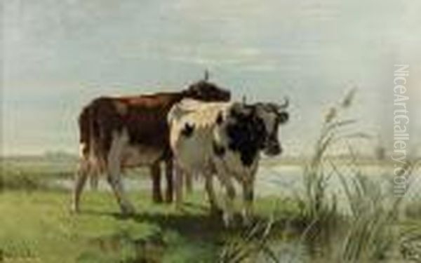 Zwei Weidende Kuhe Am Kanal. Oil Painting by Cornelis I Westerbeek