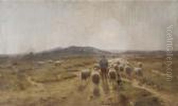 Leading The Sheep Over The Heath Oil Painting by Cornelis I Westerbeek