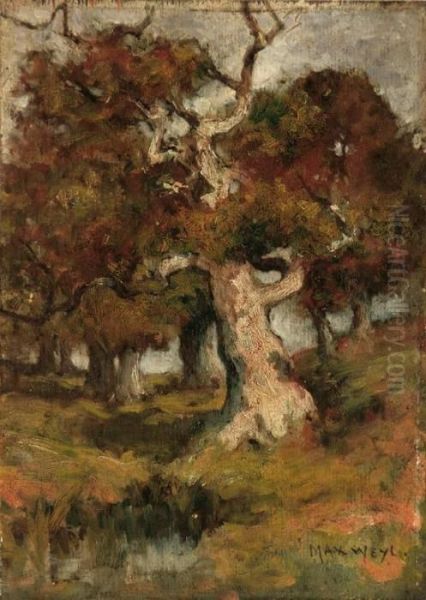 Old Oaks Oil Painting by Max Weyl