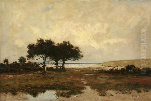 The Potomac Marshlands Oil Painting by Max Weyl