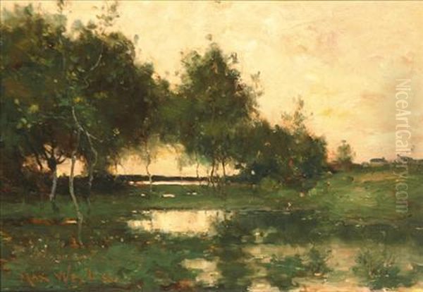 Evening On The Marsh Oil Painting by Max Weyl