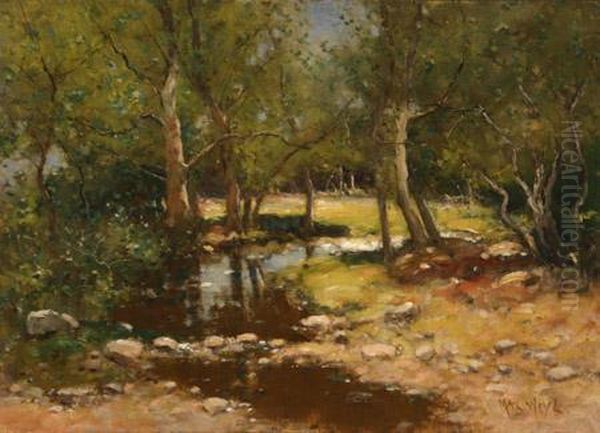 A Woodland Stream Oil Painting by Max Weyl