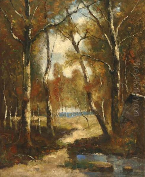 A Woodland Pool Oil Painting by Max Weyl