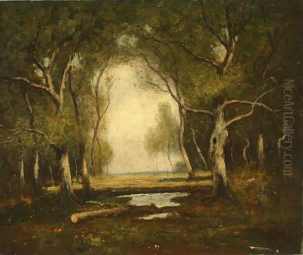 A Woodland Clearing Oil Painting by Max Weyl