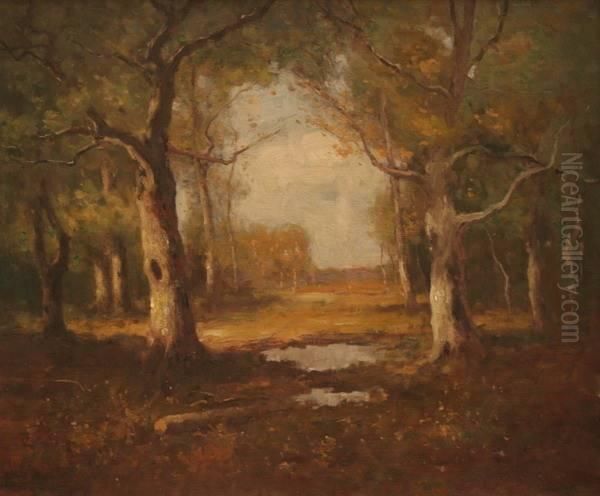 Rock Creek Park Oil Painting by Max Weyl