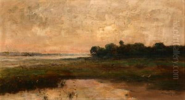 Potomac Marshlands At Sunset Oil Painting by Max Weyl