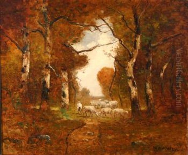 Sheep In A Wooded Landscape Oil Painting by Max Weyl