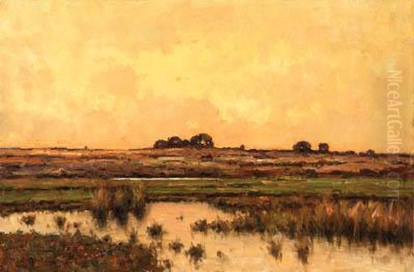 Evening Over The Marshes Oil Painting by Max Weyl