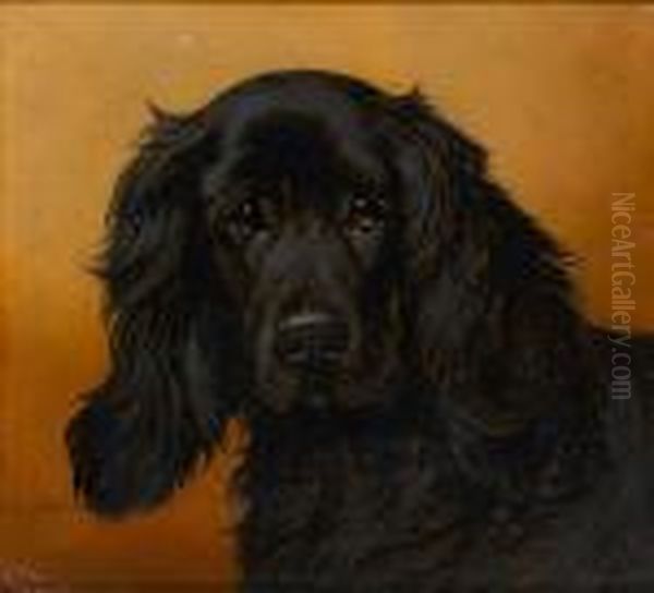 A Cocker Spaniel Oil Painting by John Arnold Wheeler