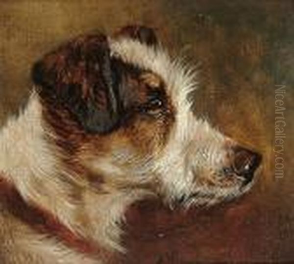 Head Study Of A Terrier Oil Painting by John Arnold Wheeler