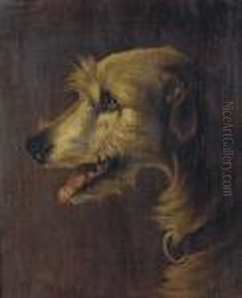 The Head Of A Deerhound Oil Painting by John Arnold Wheeler