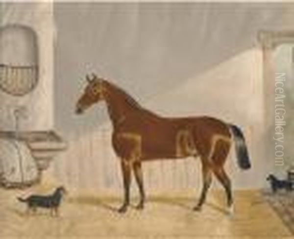 A Chestnut Hunter In A Stable Oil Painting by John Arnold Wheeler