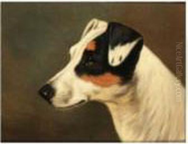 Head Of A Jack Russell Oil Painting by John Arnold Wheeler