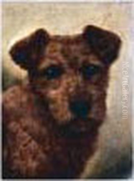 Welsh Border Collie; Terrier; Irish Terrier Oil Painting by John Arnold Wheeler