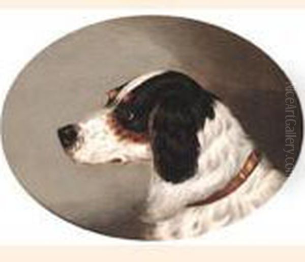 Head Of An English Setter Oil Painting by John Arnold Wheeler