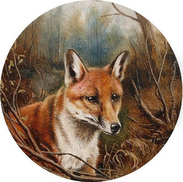 Head Of A Fox Oil Painting by John Arnold Wheeler