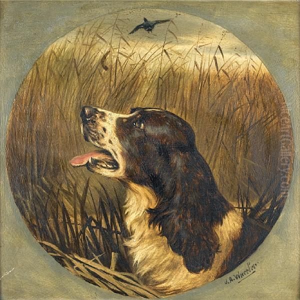 Head Of A Springer Spaniel Oil Painting by John Arnold Wheeler