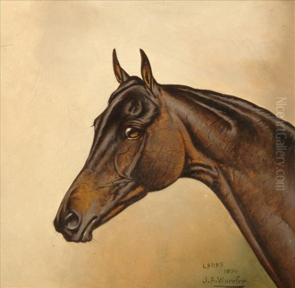 Head Study Of A Horse Oil Painting by John Arnold Wheeler