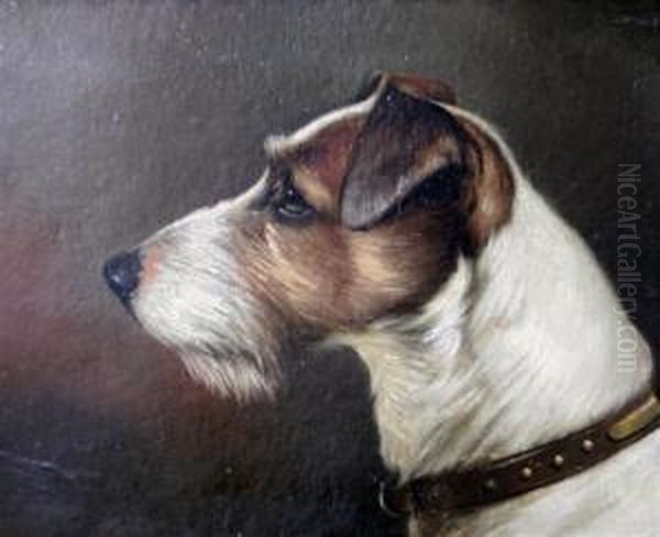 Heads Of Jack Russell's Oil Painting by John Arnold Wheeler