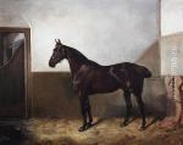 Dark Bay Hunter In A Stable Oil Painting by Of John Alfred Wheeler