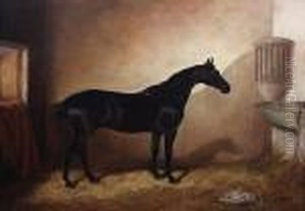 Dark Bay Hunter In A Stable Oil Painting by Of John Alfred Wheeler