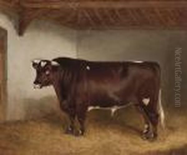 Lord Somerset Iii, A Short Horn Bull In A Stable Interior Oil Painting by Of John Alfred Wheeler