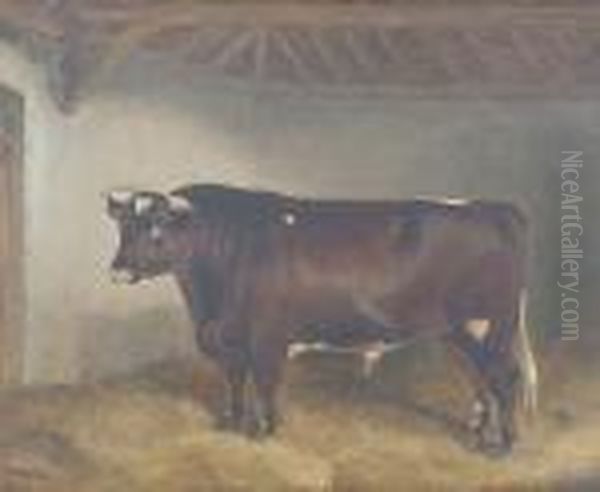 Lord Somerset 3rd - A Bull Oil Painting by Of John Alfred Wheeler