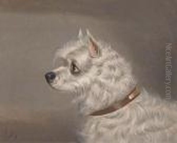 A Skye Terrier Oil Painting by Of John Alfred Wheeler