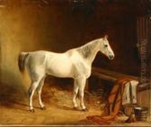 Grey Hunter In A Stable Oil Painting by Of John Alfred Wheeler